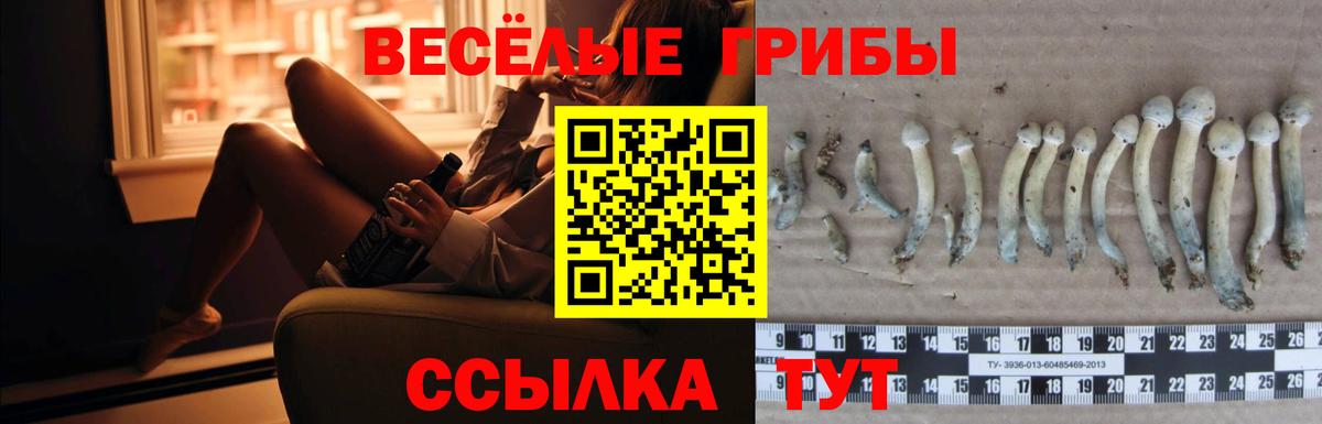 где можно купить   Галлюциногенные грибы прущие грибы  Барнаул  Вход с VPN  Галлюциногенные грибы MAGIC MUSHROOMS 